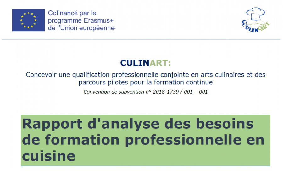 Rapport d&#039;analyse des besoins de formation professionnelle en cuisine